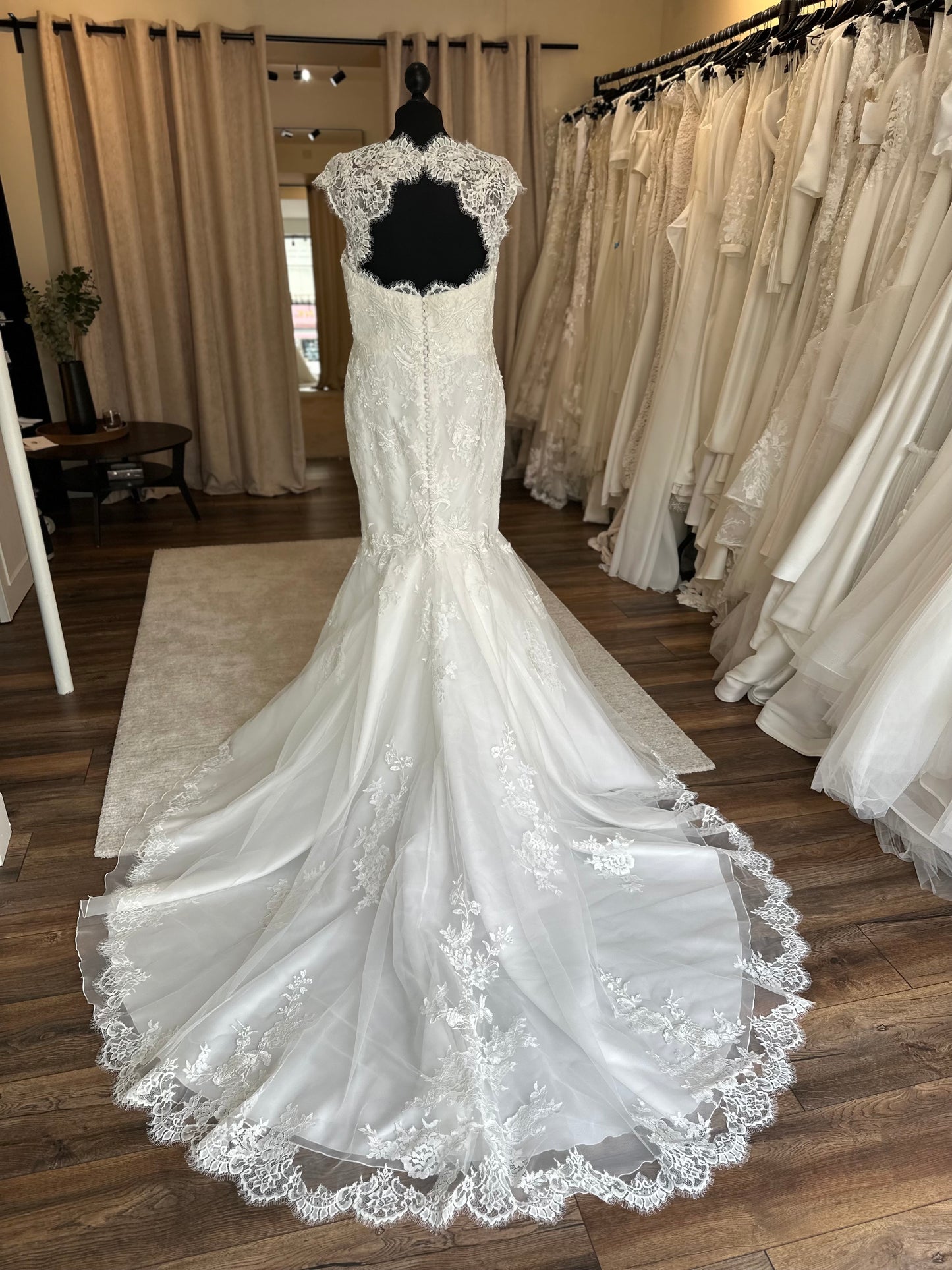 Pronovias - Maud Plus - Bridal Size 18