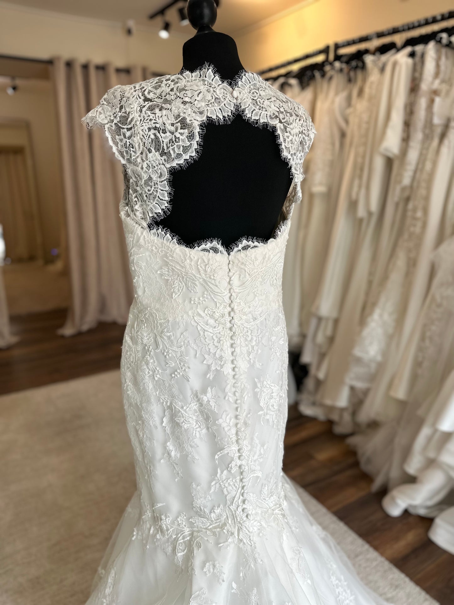 Pronovias - Maud Plus - Bridal Size 18