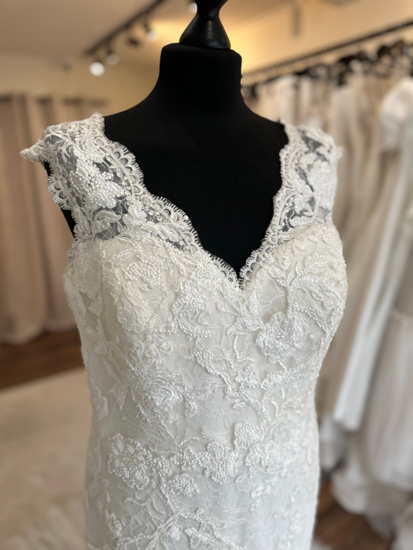 Pronovias - Miel Plus - Bridal Size 18