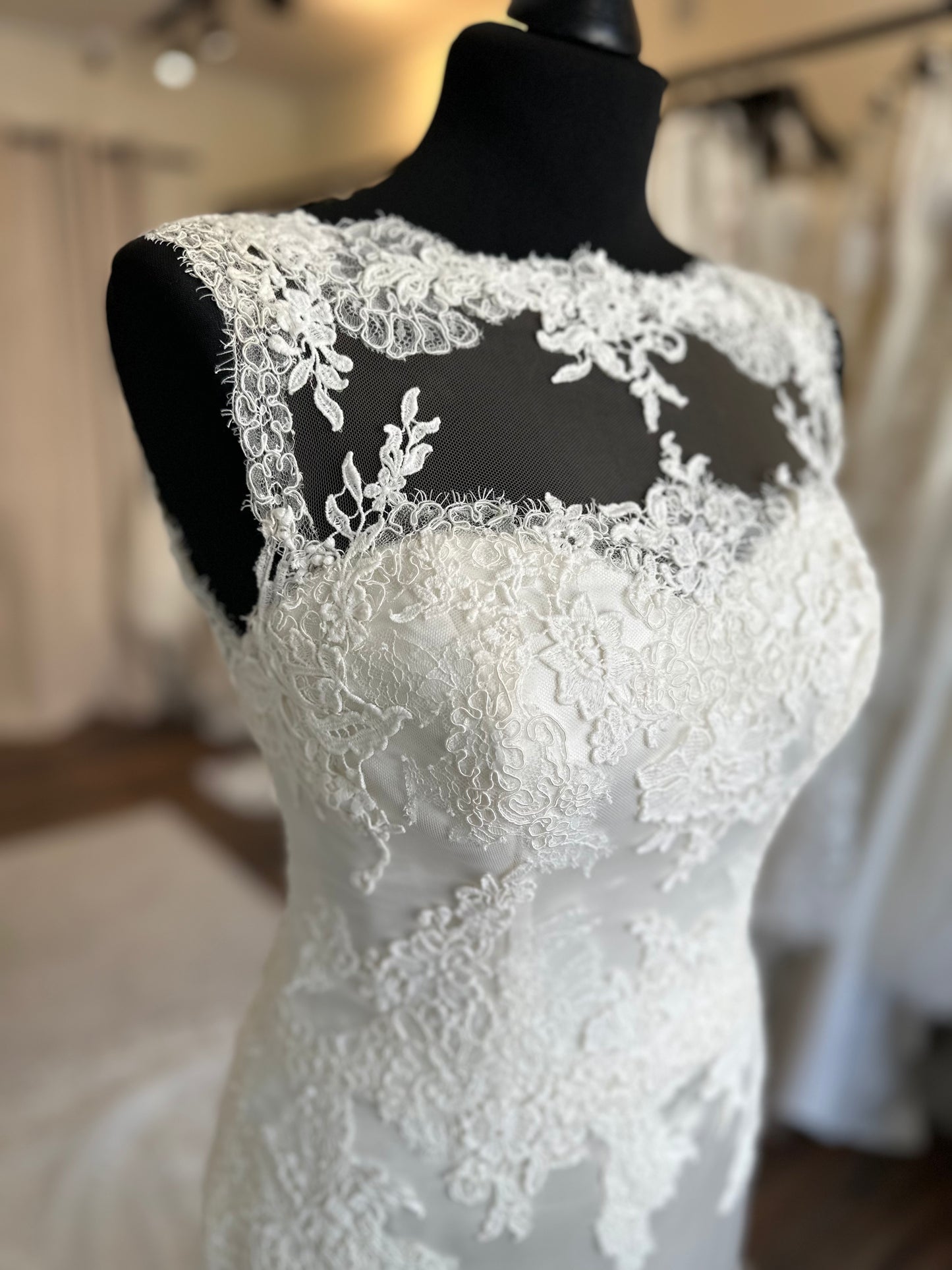 Pronovias La Sposa - Roble - Bridal size 12