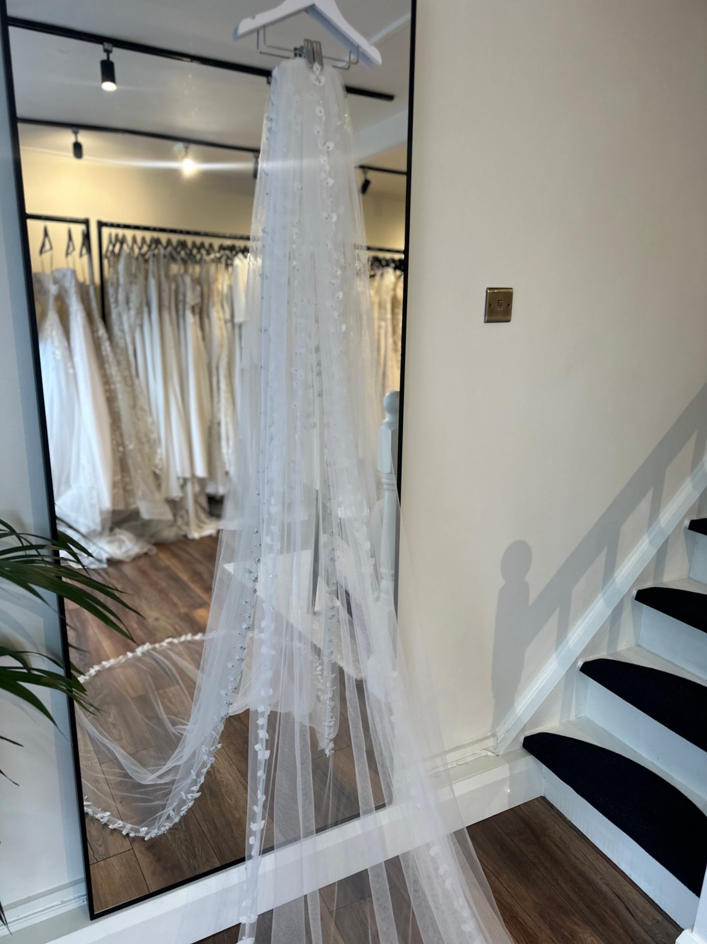Cathedral length veil - 300cm