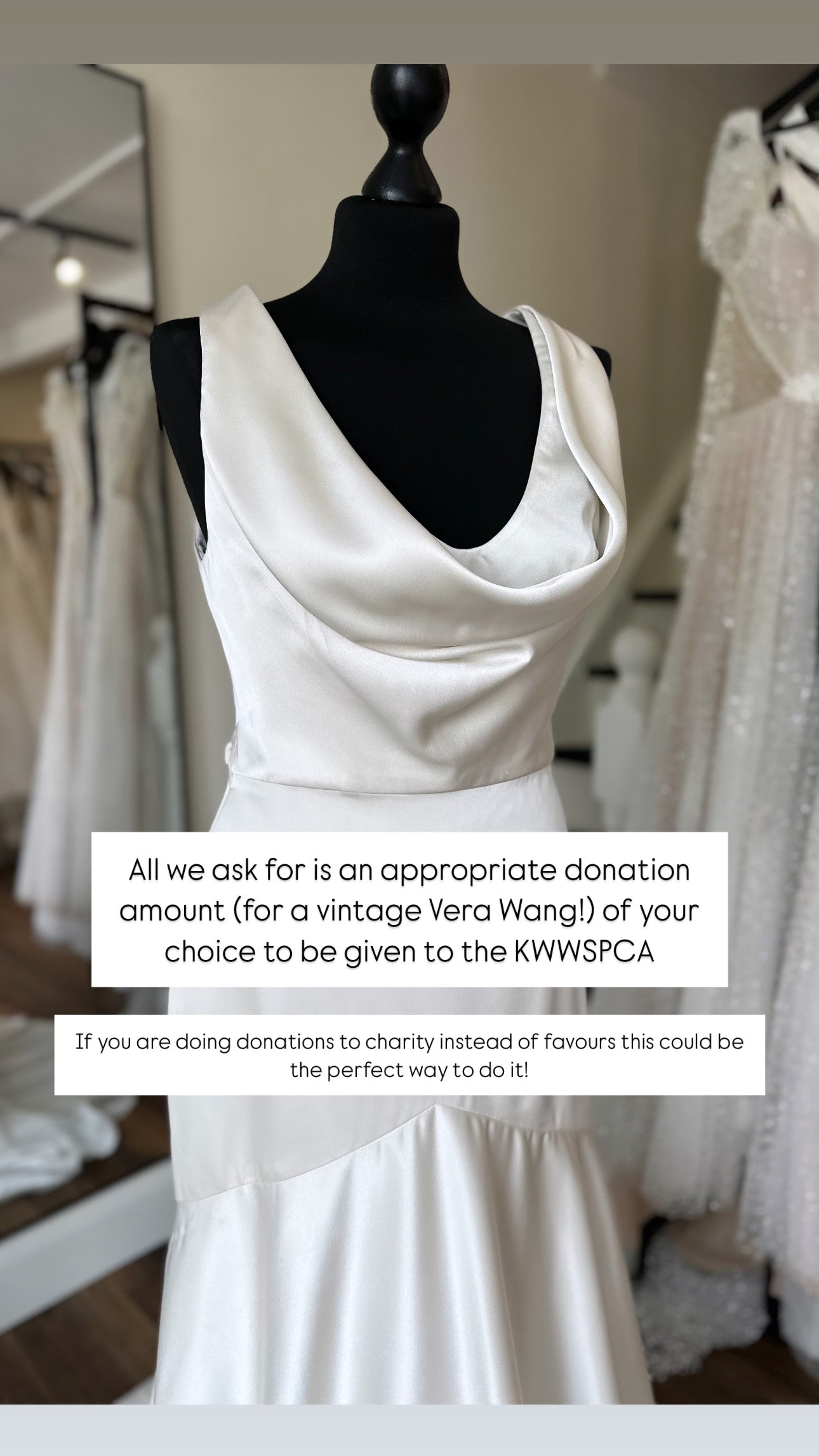 Vera Wang vintage gown - Bridal size 10